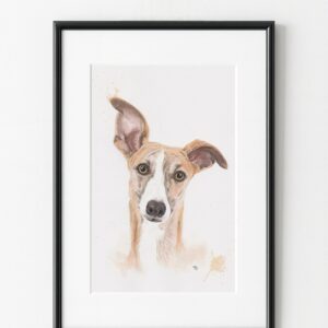 Portrait de chien lévrier, exemple d'encadrement