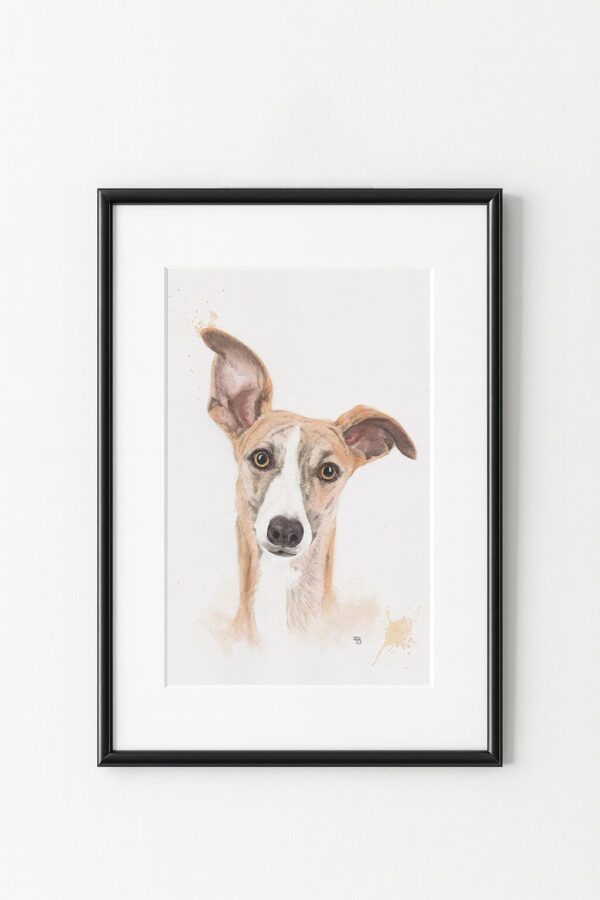 Portrait de chien lévrier, exemple d'encadrement