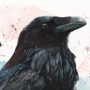 aquarelle corbeau intense, "Huginn" par Morgane Bouiller