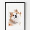Kizuna Inu, portrait de chien Akita Inu à l'aquarelle, par Morgane Bouiller portrait de chien Akita, exemple d'encadrement