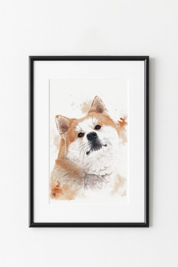 portrait de chien Akita, exemple d'encadrement