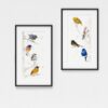 L'Appel, diptyque de passereaux chantants, exemple d'encadrement Peinture de passereaux, exemple de cadre