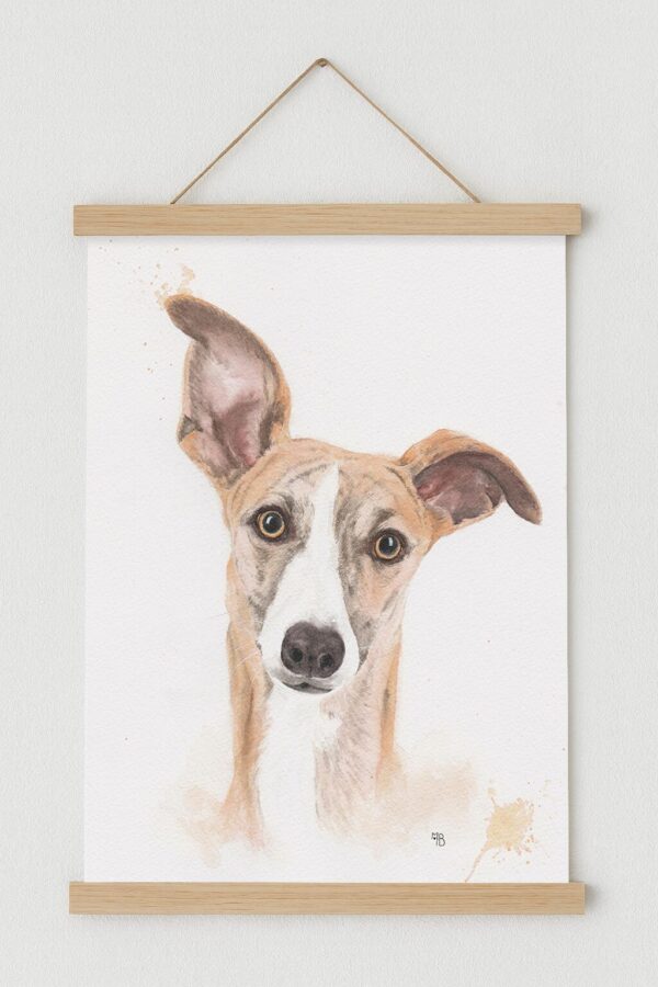 Galgo del Sol, Tableau de lévrier galgo espagnol, avec cadre magnétique en bois naturel Tableau de lévrier galgo espagnol, avec cadre magnétique en bois naturel