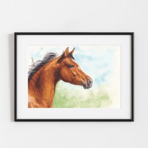 Messager du Zéphyr, peinture de cheval arabe, exemple d'encadrement, par Morgane Bouiller