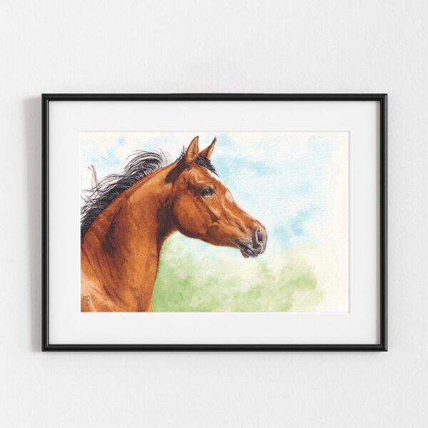 Messager du Zéphyr, peinture originale de cheval arabe, exemple d'encadrement Messager du Zéphyr, peinture de cheval arabe, exemple d'encadrement, par Morgane Bouiller