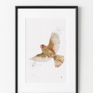 Peinture d'oiseau en vol, exemple d'encadrement tableau