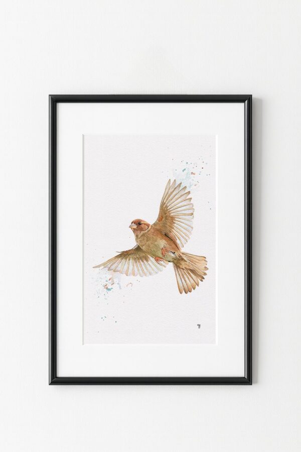 Peinture d'oiseau en vol, exemple d'encadrement tableau