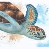 Oceanica – Œuvre originale à l’aquarelle