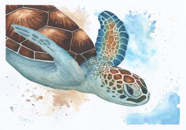 Oceanica – Œuvre originale à l’aquarelle
