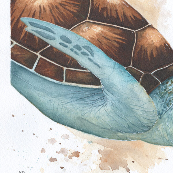 Oceanica – Œuvre originale à l’aquarelle