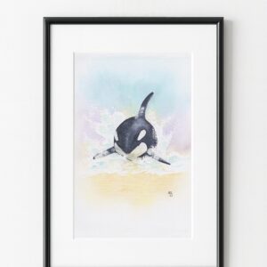 Peinture d'orque, exemple d'encadrement, par Morgane Bouiller