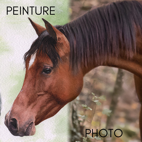 portrait aquarelle cheval