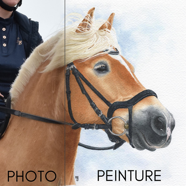 portrait animalier réaliste – peinture cheval - portrait cheval dessin aquarelle