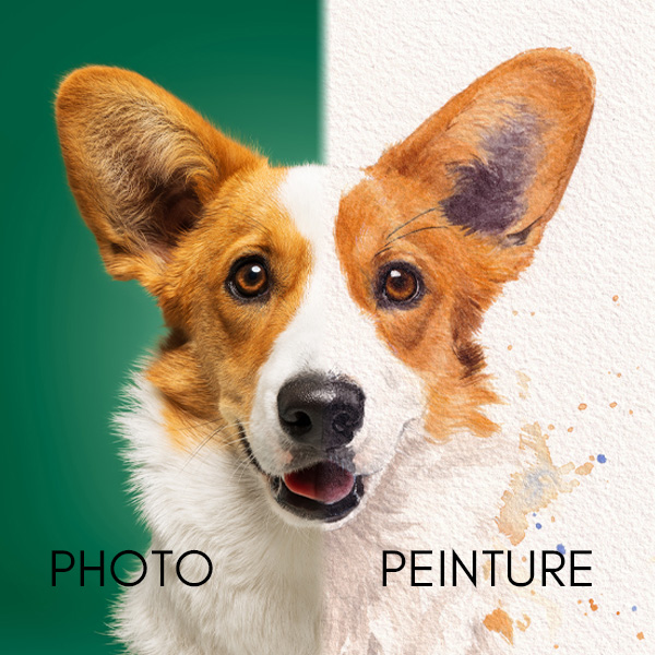 peinture personnalisée chien à l'aquarelle traditionnelle