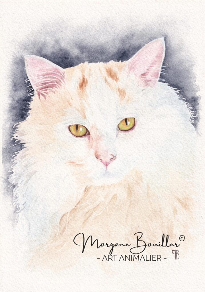 Peinture fine à l'aquarelle d'un chat blanc