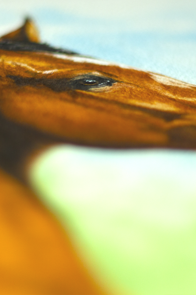 Artiste animalière engagée