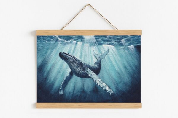 Sérénade Océane, impression fine art baleine avec cadre magnétique en bois naturel