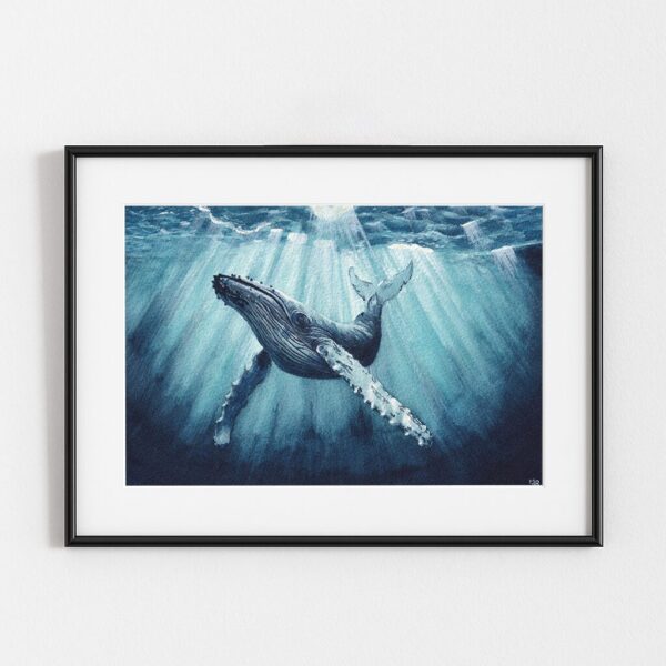 "Sérénade Océane", peinture de baleine, exemple d'encadrement, par Morgane Bouiller "Sérénade Océane", peinture de baleine, exemple d'encadrement, par Morgane Bouiller