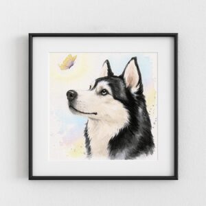 Speranza, portrait de chien Husky à vendre