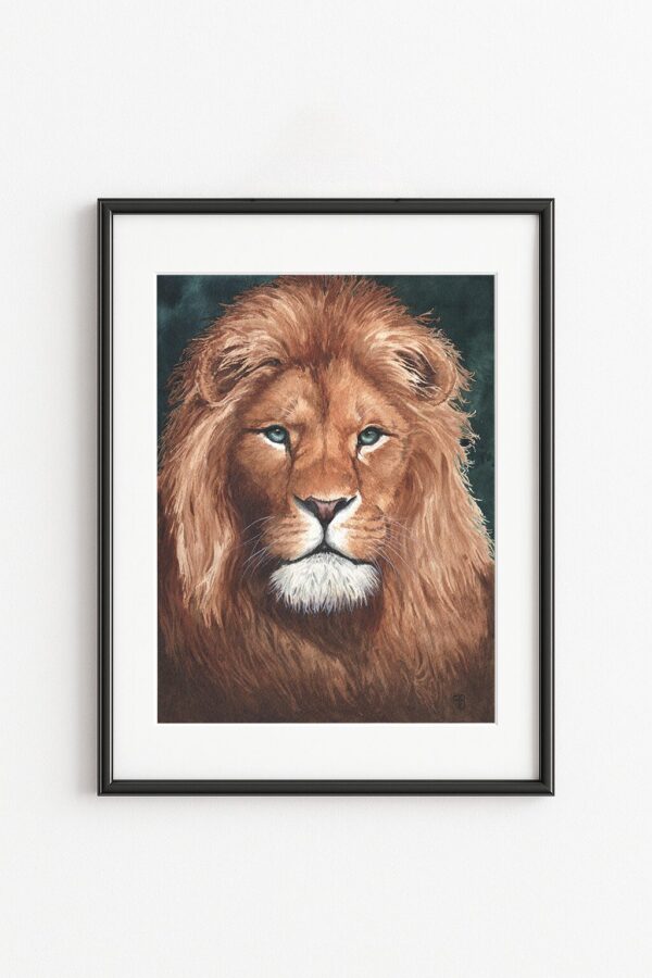 Umlilo Inkosi, portrait de lion, exemple d'encadrement