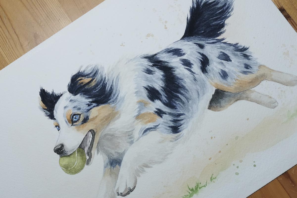 lavis progressif – portrait chien personnalisé, premières couches, rendu fidèle et réaliste