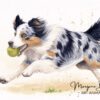 peintre animaux - chien agility