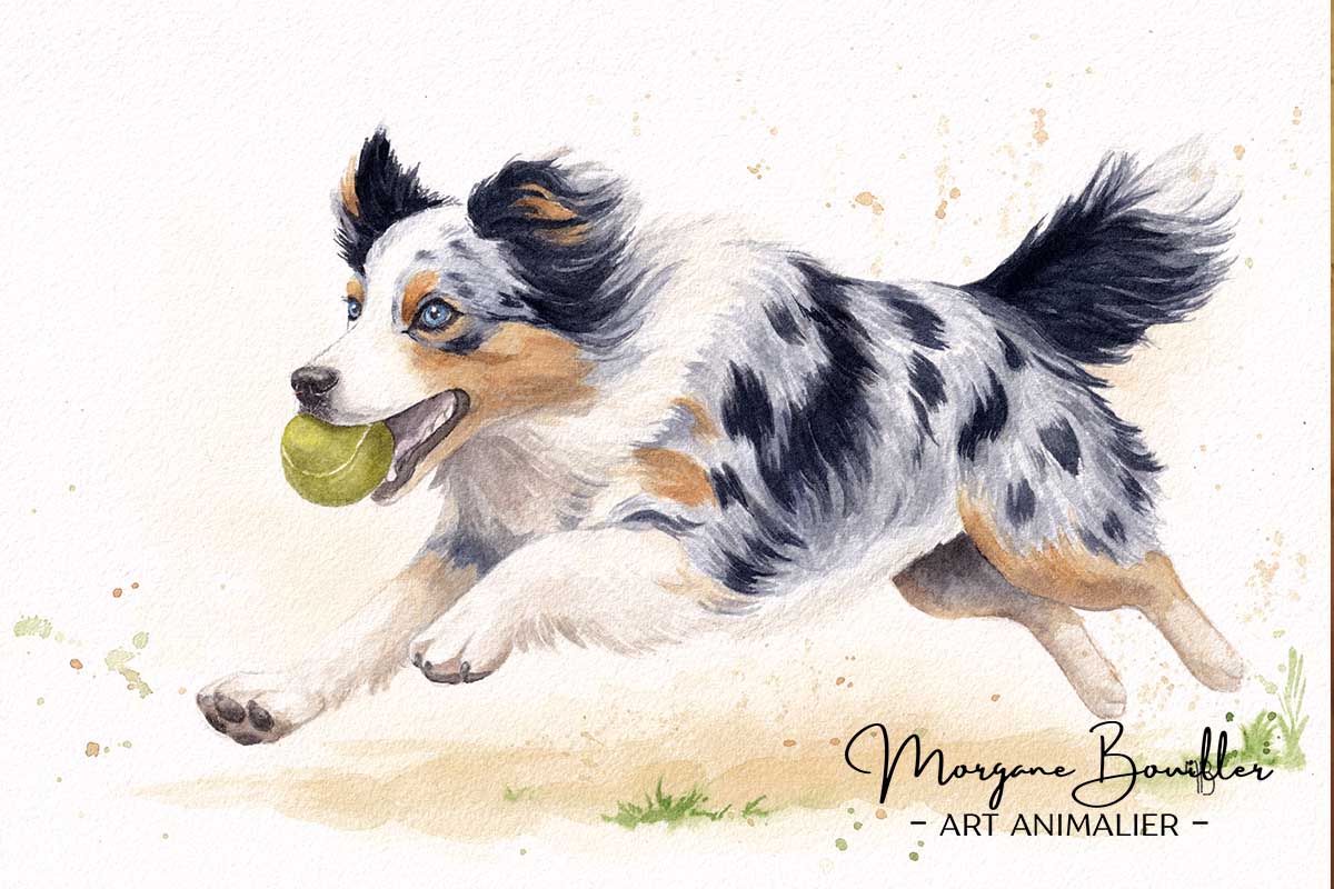 peinture chien dynamique terminée – Gamme VITALITÉ