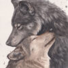 Gardien de mon Âme, peinture aquarelle d'un couple de loups par Morgane Bouiller
