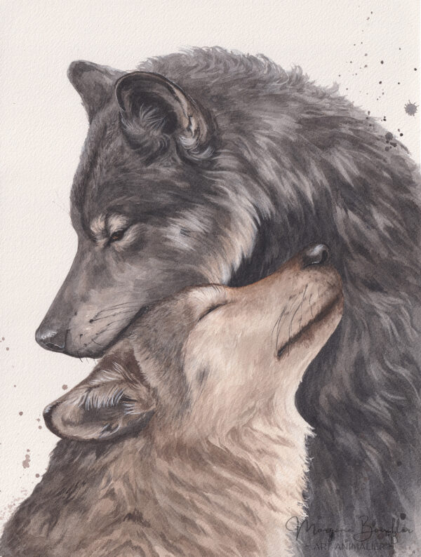 Gardien de mon Âme, peinture aquarelle d'un couple de loups par Morgane Bouiller