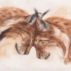 Tendre Echo, couple de lynx à l'aquarelle, par Morgane Bouiller