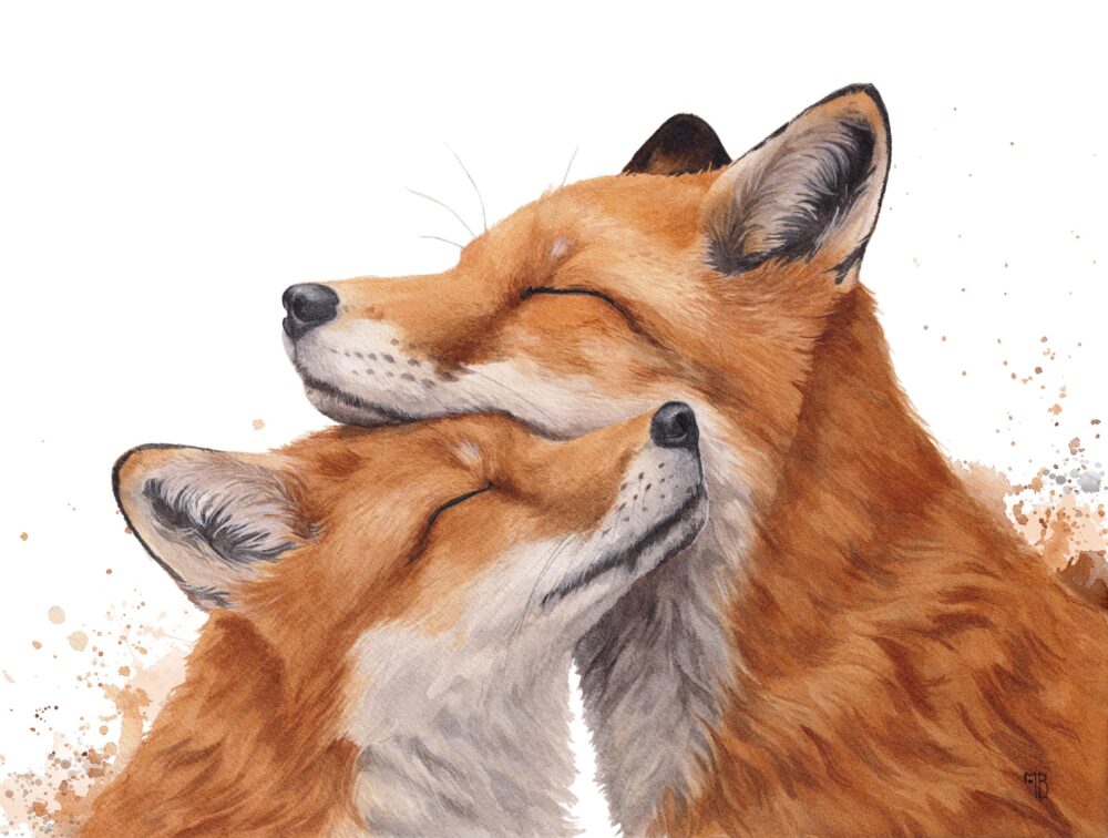 Tableau de renards précieux, peinture aquarelle par Morgane Bouiller