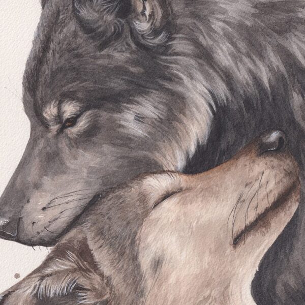Zoom sur peinture de couple de loups