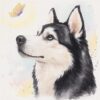 Speranza, portrait de chien Husky par Morgane Bouiller Speranza, portrait de chien Husky poétique à l'aquarelle