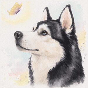 Speranza, aquarelle de chien Husky – tableau animalier prêt à offrir
