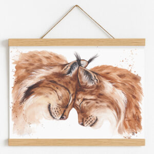 Illustration de lynx, Tendre Echo par Morgane Bouiller