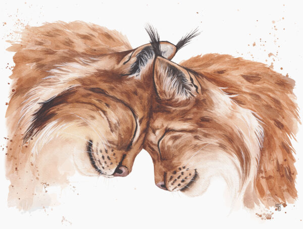 tendre-echo-version-tirage d'art Tendre Écho, tirage d'art fine art par Morgane Bouiller