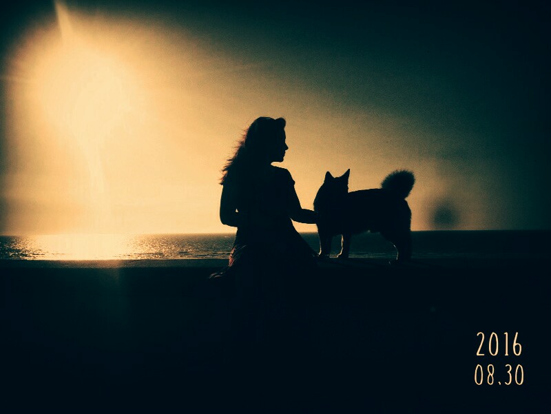 A close-up image of a paintbrush dipping into a glass of water, mixing vibrant watercolors.