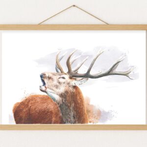 Le Brame, tirage d'art fine art de cerf