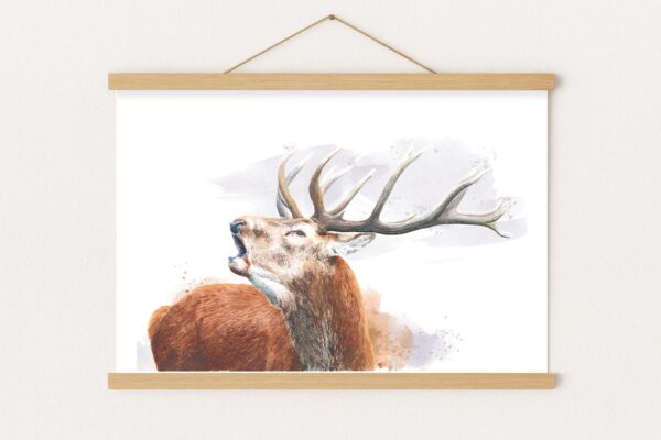 Le Brame, tirage d'art fine art de cerf Le Brame, tirage d'art fine art de cerf