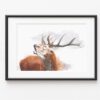 le brame tirage d'art par Morgane Bouiller Le Brame, tirage d'art fine art de cerf - exemple d'encadrement