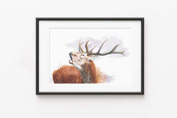 le brame tirage d'art par Morgane Bouiller Le Brame, tirage d'art fine art de cerf - exemple d'encadrement