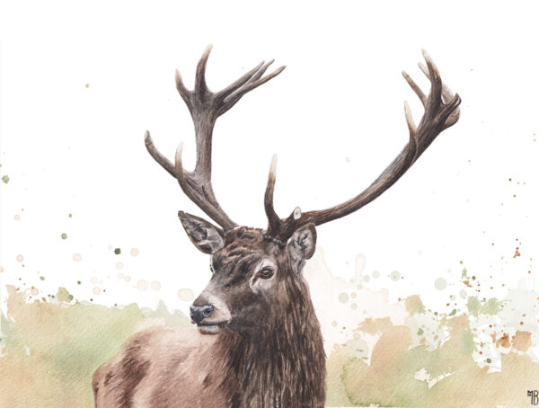 L'Esprit des Forêts, portrait de cerf  – Tirage d'Art