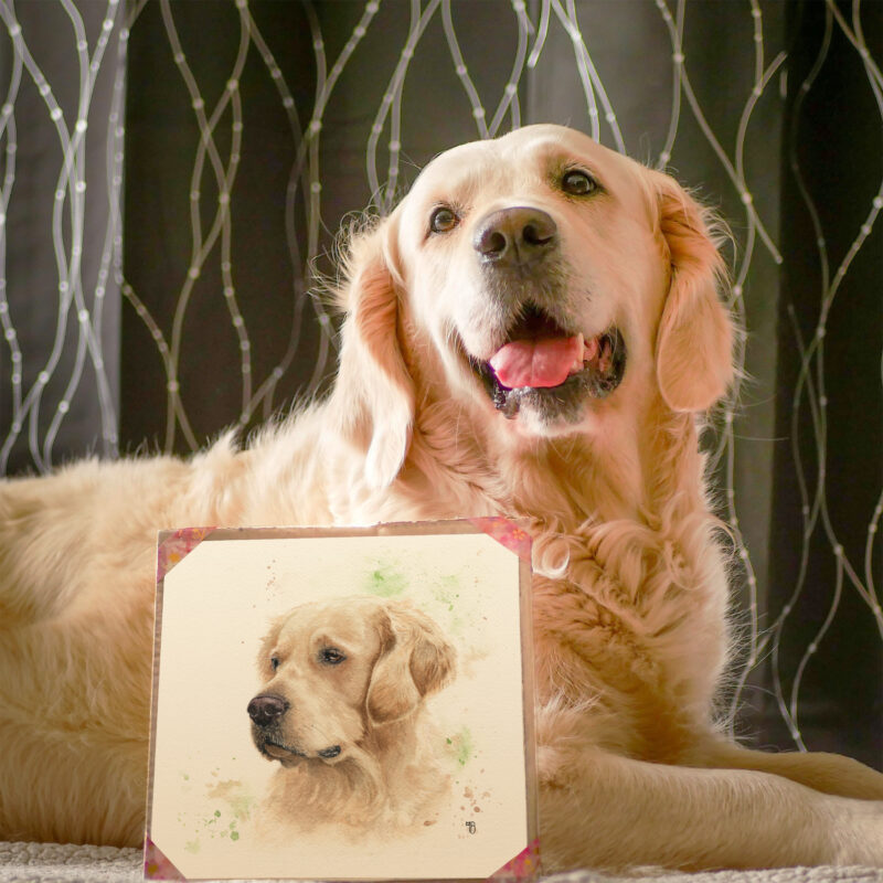 La belle chienne Golden Retriever Luna à côté de son portrait