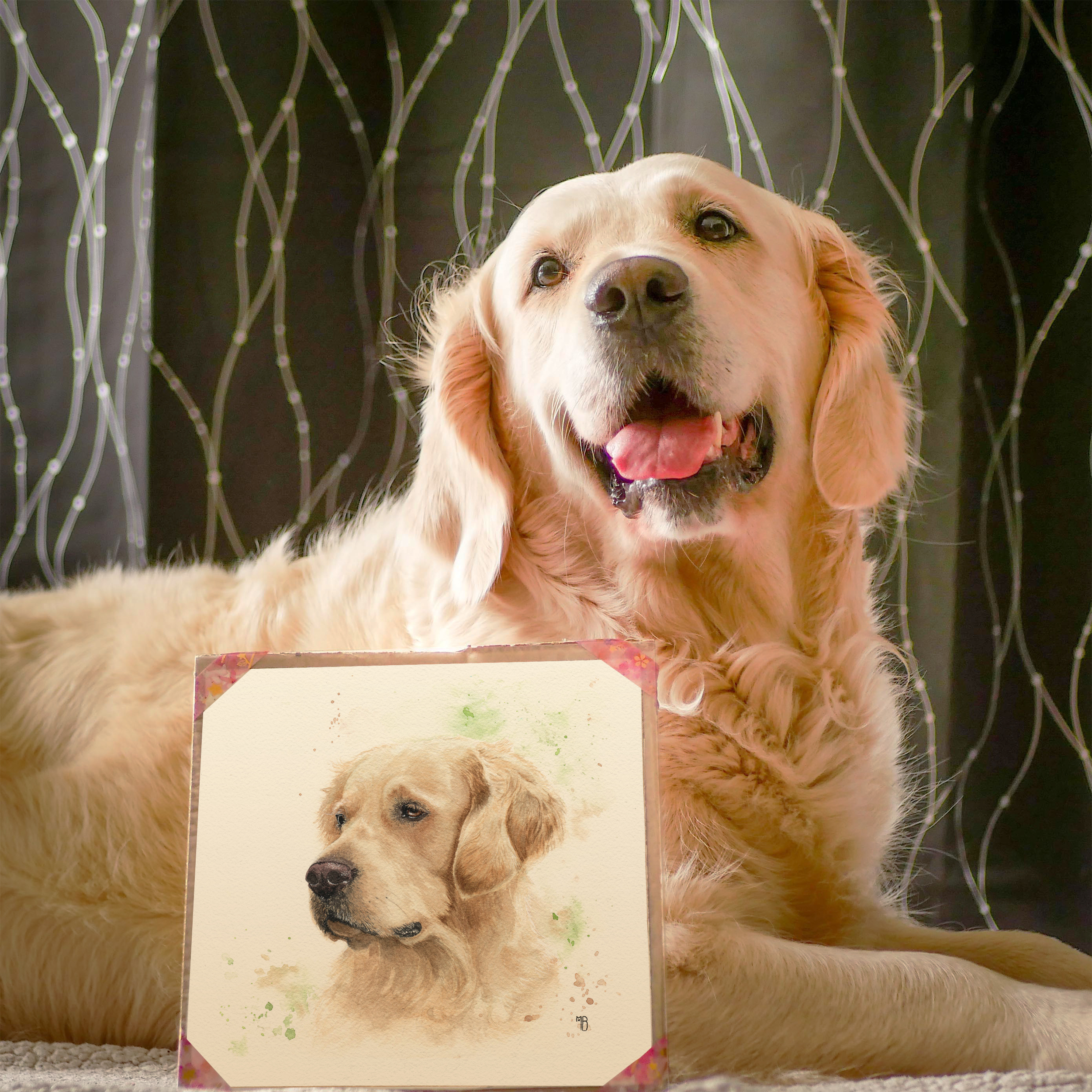La belle chienne Golden Retriever Luna à côté de son portrait