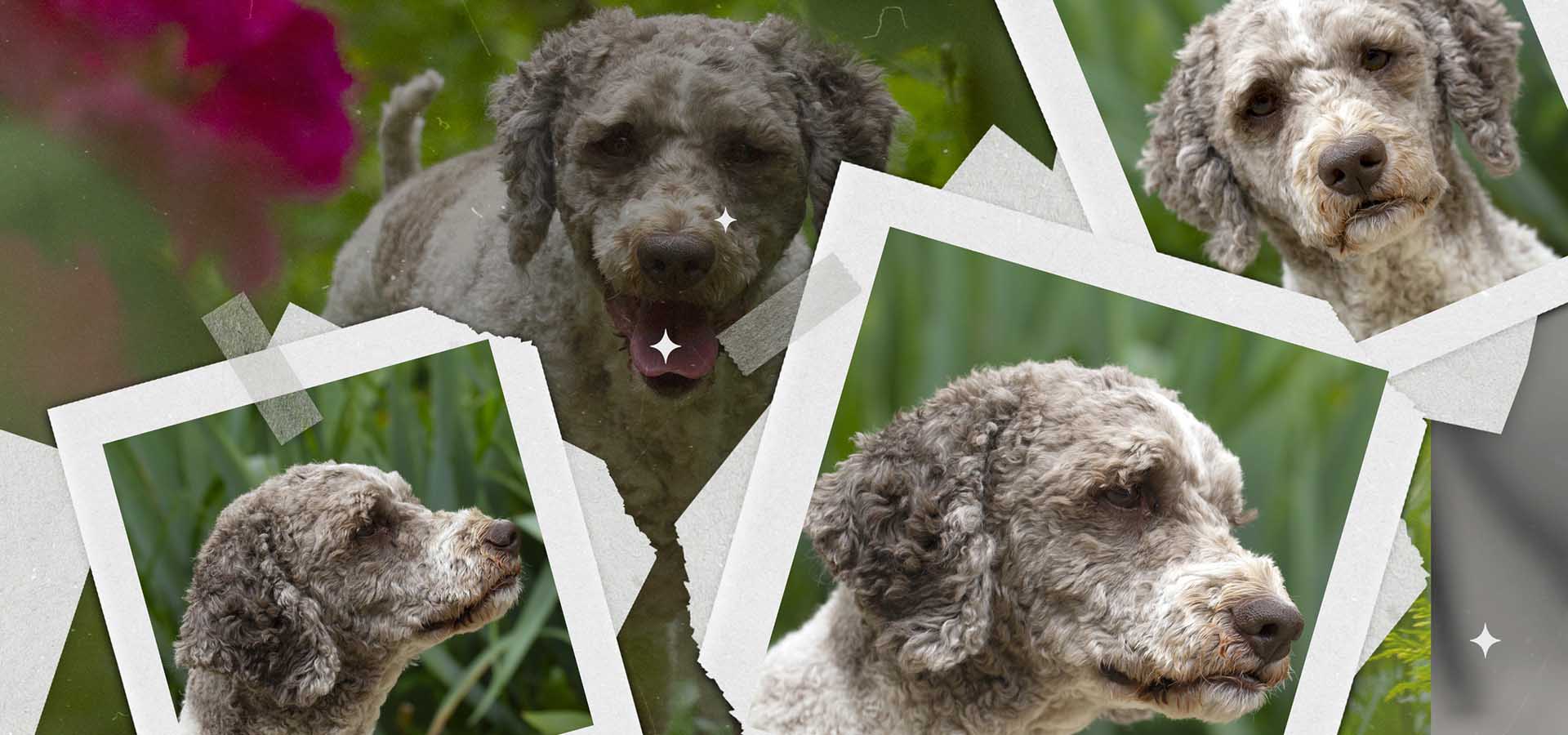 A close-up image of a paintbrush dipping into a glass of water, mixing vibrant watercolors.