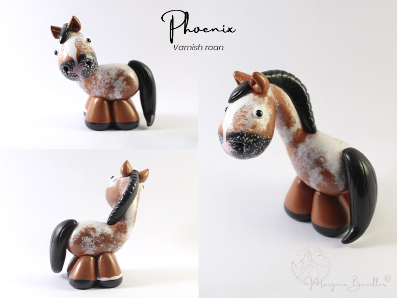 MYNIZ cheval varnish roan