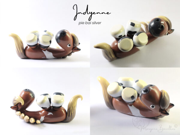 indyenne MYNIZ jument pie bai silver