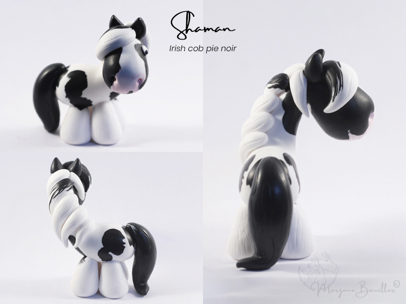 MYNIZ cheval irish cob pie noir