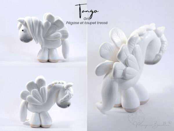 Tango MYNIZ avec option Pégase