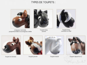 Types de toupets disponibles 